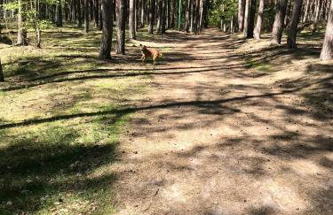 J.A.C.K.E.S. - Foto 42