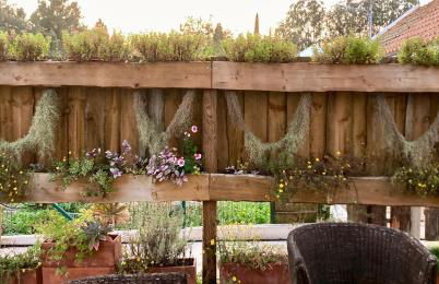 Casa Amador, Charming 2 Bedrooms House in Alcácer - Foto 17