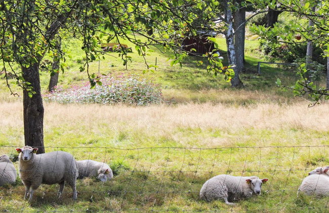 Holiday Home in Askeröarna - Foto 6