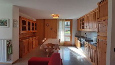 DOMUS ALPINA - Foto 5