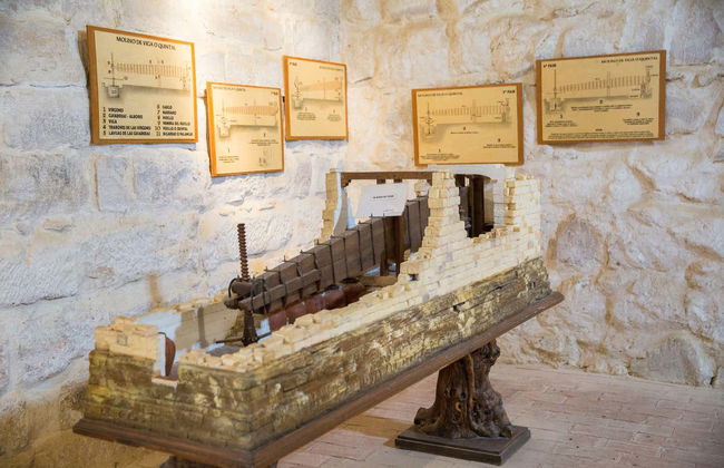 Visita guidata del Museo dell'Ulivo + Degustazione - Foto 14