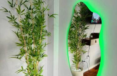 LAPA Energia Carioca - Photo 16