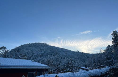 Waldhaus Max - Foto 22