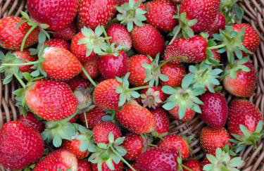 Ferme Pédagogique Bordeneuve - Foto 24