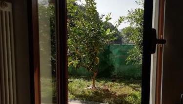 Casa Verde - Foto 5, Garden