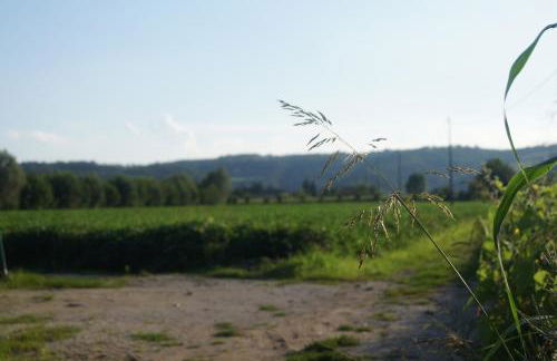 Agriturismo alla Corte - Foto 32