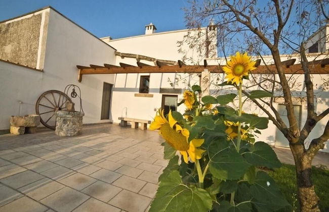 Masseria Cinti - Foto 50