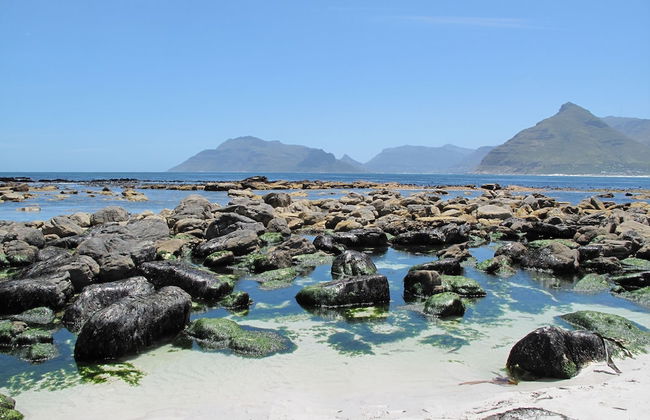 Stunning Cape Peninsula Holiday Villa With Pool - Photo 25