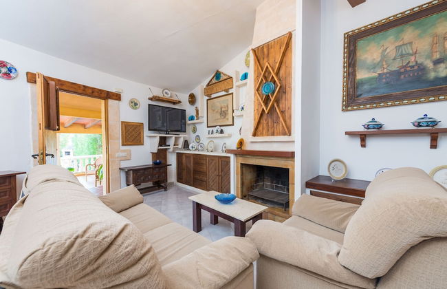 Hibiscus in Sa Pobla - Foto 11