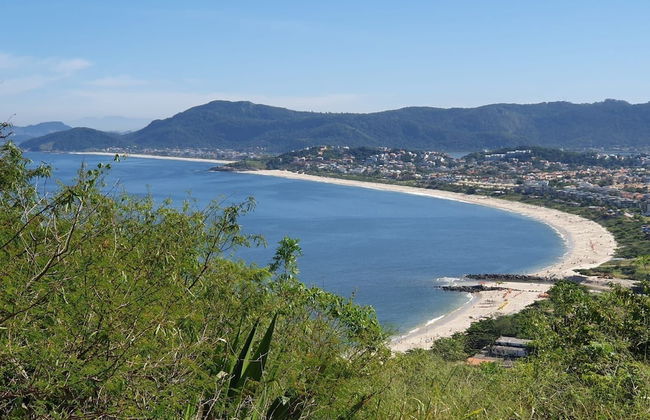 Andorinhas - Foto 79