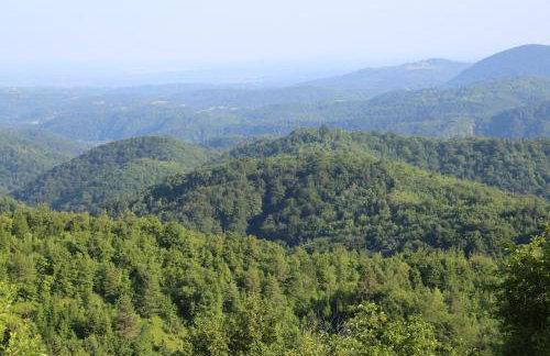 Kuća za odmor Koprivnjak - Foto 25