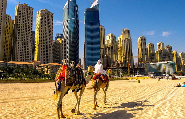 Tour della città di un'intera giornata a Dubai - Foto 9