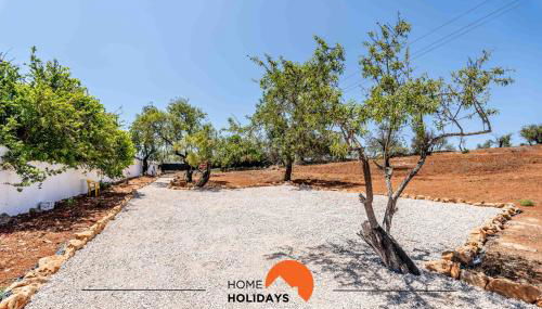 #161 T1 Casa dos Avós by Home Holidays - Foto 4