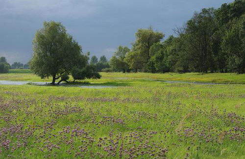 Family apartment in Bleyen-Genschmar - Foto 13
