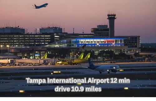 Palmera House in Tampa with Hot Tub 10 minutes from Airport & Busch Gardens - Foto 24