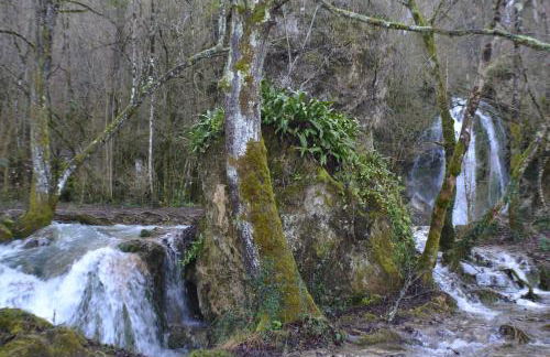 Les Divines Cascades - Foto 9