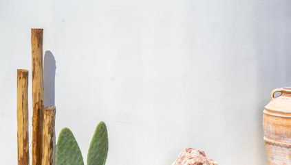 Hacienda tradition&relax - Foto 3