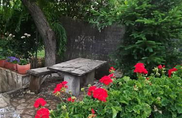 Cabañas los Pinos Arroyo Frio - Foto 65