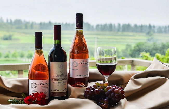 Perigord House With Private Swimming Pool in the Middle of Unspoiled Nature - Foto 46