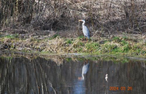 Siedlisko na Górce - Foto 62