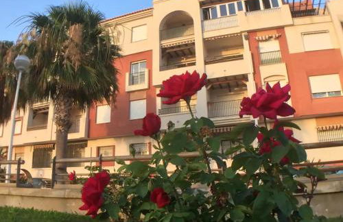 Apartamento Playa Calahonda El Farillo con terraza - Foto 30