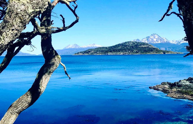 Offroading Trip to Tierra del Fuego - Photo 6