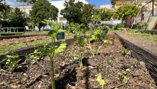 El Secanet - Foto 4, Garden