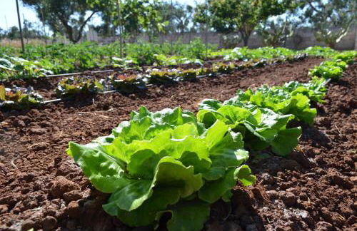 Agriturismo Residenza Gemma - Foto 44