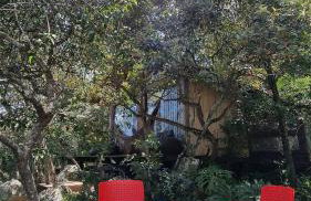 Casas Lago Paranoá - Foto 49