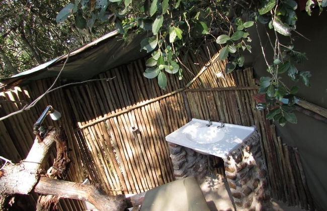 3 bed Bush-tent Under 3 Trees, for Couple Plus Chaperone Free Lionhyena Sounds - Foto 4