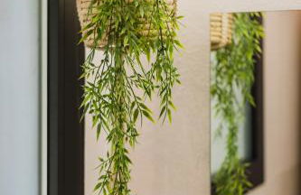 Casa Zita Mar - Ibiza style villa, near the beach of Cala Llonga and with fantastic sunset views - Foto 49