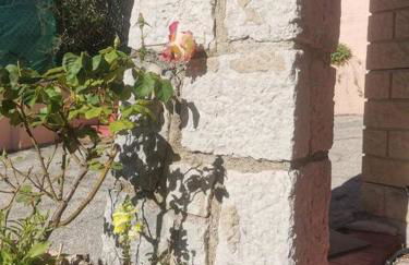 Maison traditionnelle sur les collines Niçoises - Foto 20