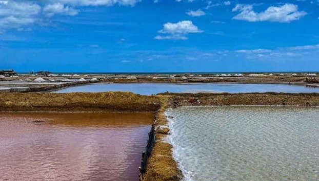 Tour de 7 días por lo mejor de La Guajira - Foto 3, ¡Bienvenidos a Manaure!