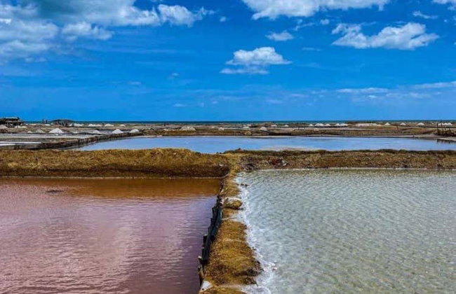 Tour de 7 días por lo mejor de La Guajira - Foto 3