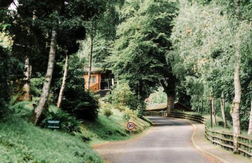 Stewart Apartment - A unique Apartment in countryside park with WIFI and access to bar and pool - Foto 20