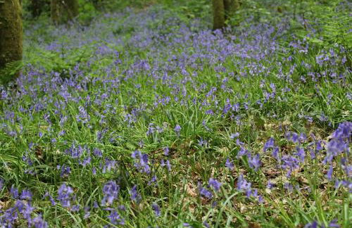 The Cottage-Uk32854 - Photo 26