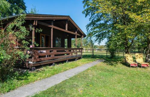 Blockhauser auf Reiterhof in Eschede - Foto 84