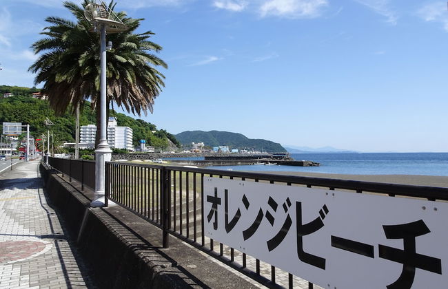 Japanese Condominium UNO - Photo 34