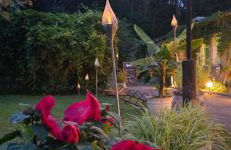 Waldpension Gussow - Foto 20