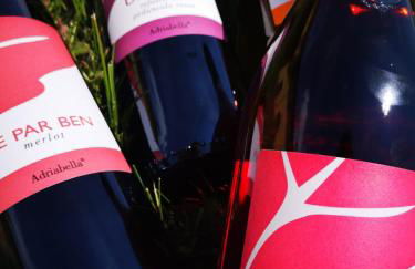 Agriturismo Tenuta Regina - Glamping luxury lodges and apartments - Photo 71