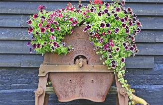 The Tack Room - Photo 8