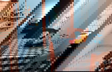 Kanari s House Pelion - Foto 22