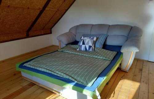 Widny Jaś zaprasza z psem nad jezioro na Kaszubach - Foto 20