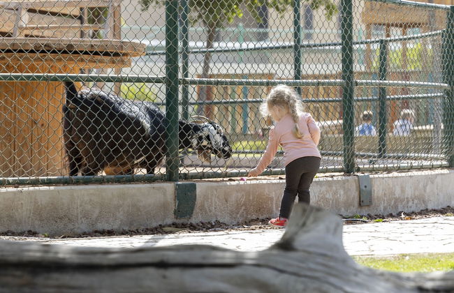 The Sustainable Homes Operated by fam Living - Photo 8