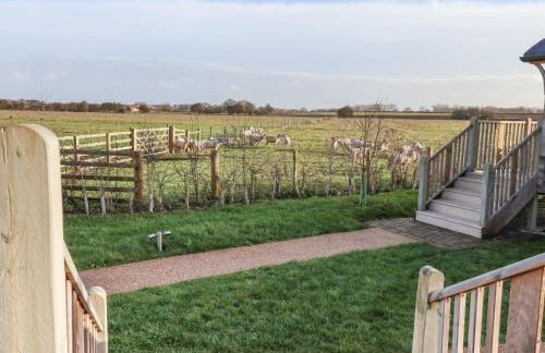 The Egyptologist - Foto 12