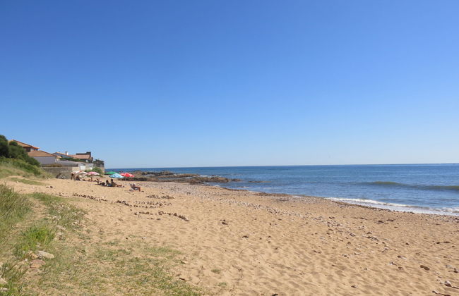 Le Goeland Argenté - Foto 19