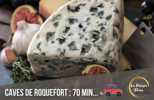 Cocon, vue Rodez, terrasse, box, musée Soulages - Photo 42