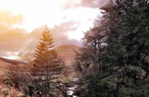 Corlae Cottage, mountain and forest views - Foto 44