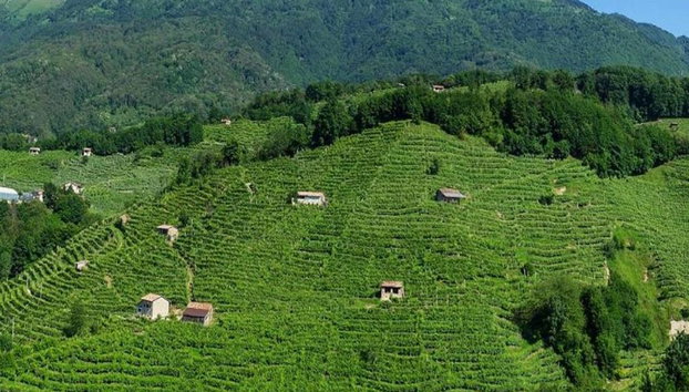 Ruta del Prosecco con cata de vinos - Excursión privada de día completo - Foto 2