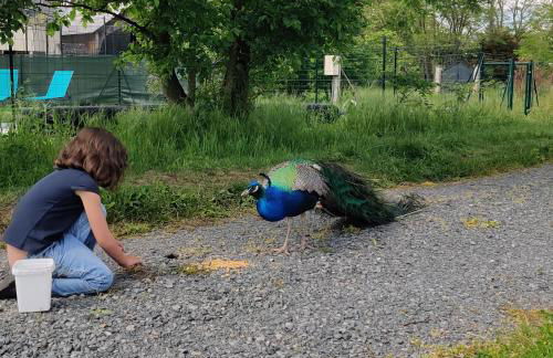 Tipi Dakota des monteaux - Photo 25